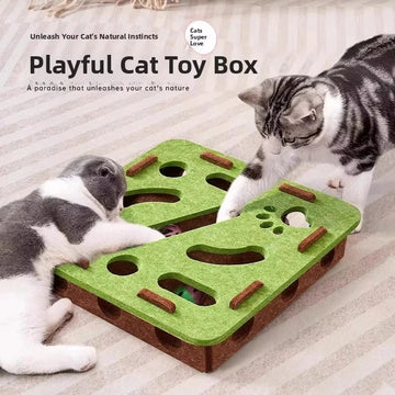 Cat, Interactive Puzzle Toy